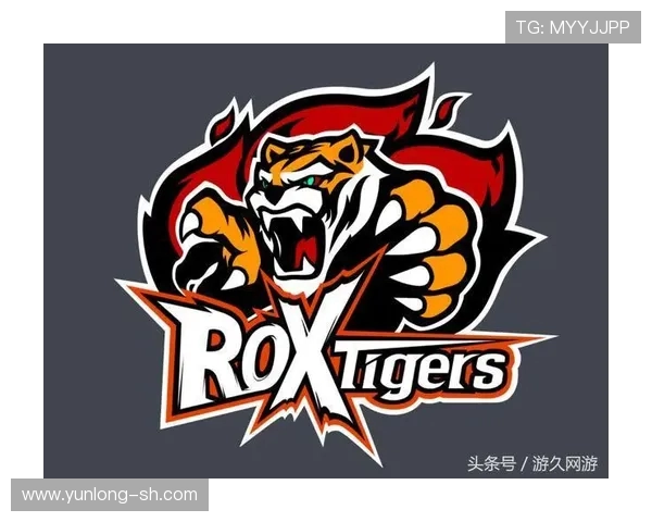 聚焦英雄联盟RNG战队意识提升与团队协作的深度剖析