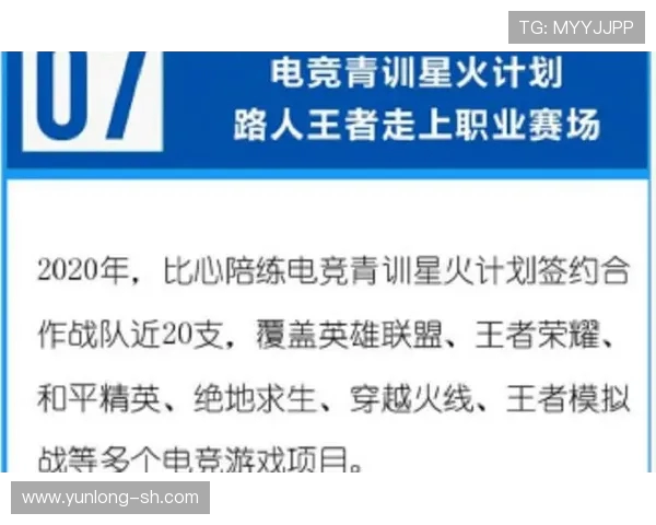 王者荣耀深度解析：探讨FPX战队的运营策略与成功之道