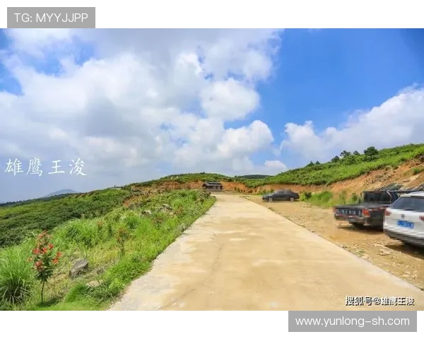 杭州极限运动队耐力革命探讨与热议引发的思考与未来展望